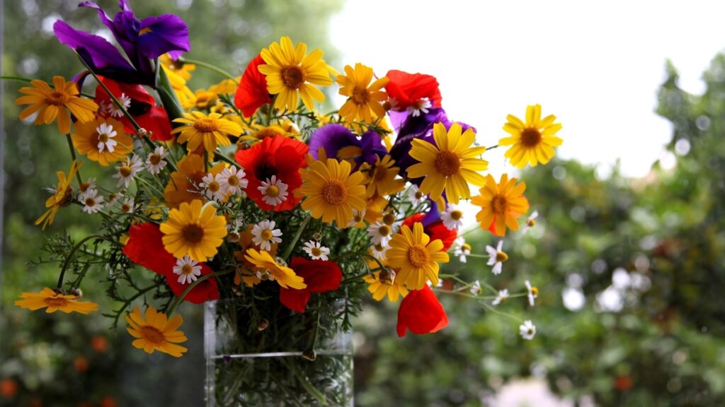 Bouquet de fleurs champêtres coloré