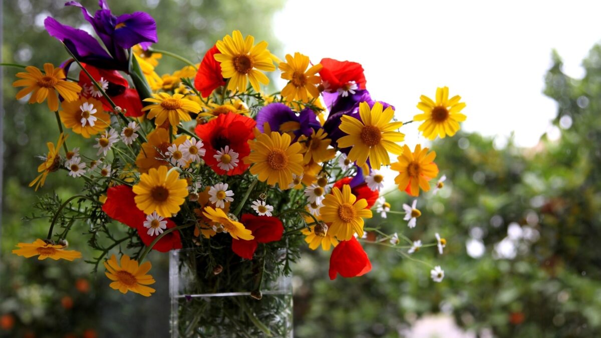 Bouquet de fleurs champêtres colorés