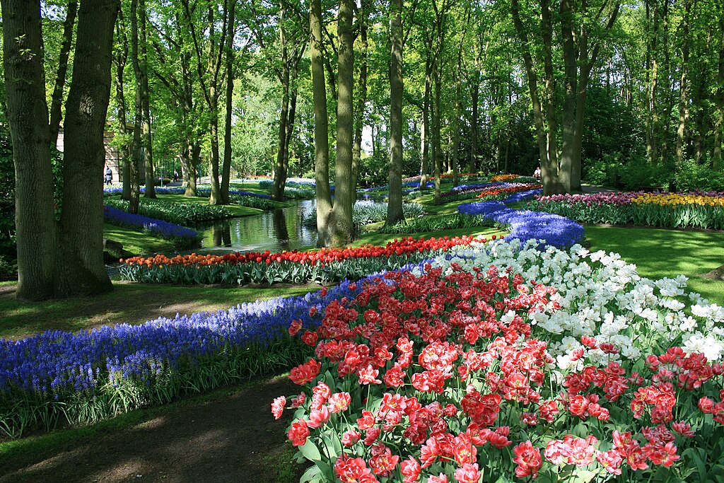 keukenhof, poème floral éphémère