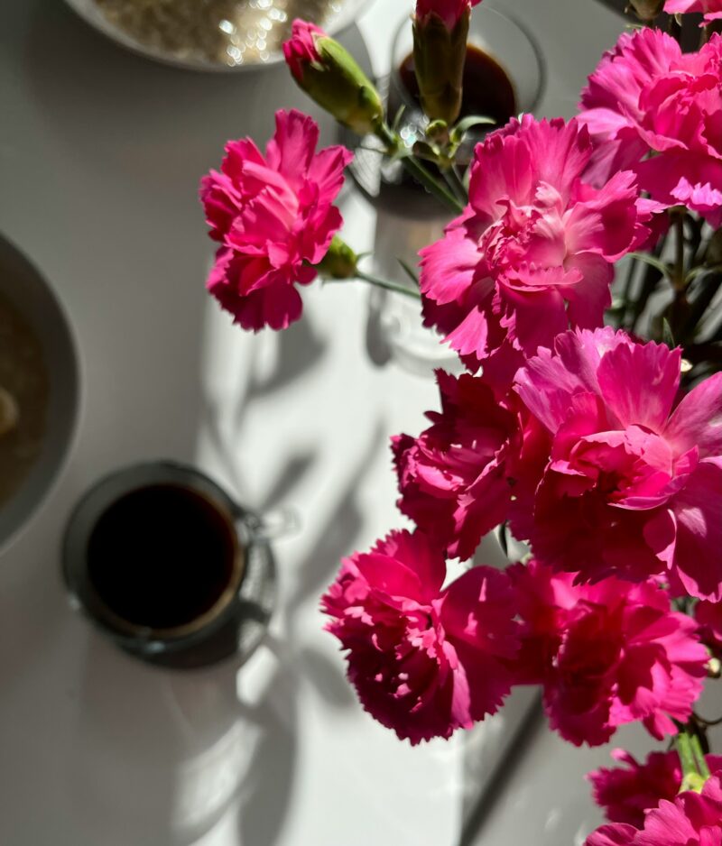 Oeillets roses pétales de douceur