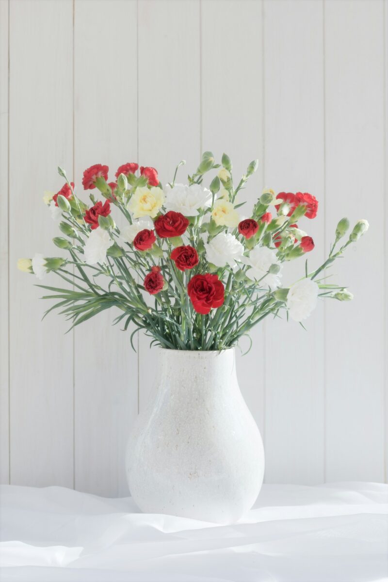 Bouquet d'œillets dans un vase, fond clair
