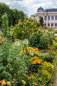 Jardin des plantes à Paris