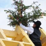 compagon du devoir posant un bouquet de faîtage sur une chaprente