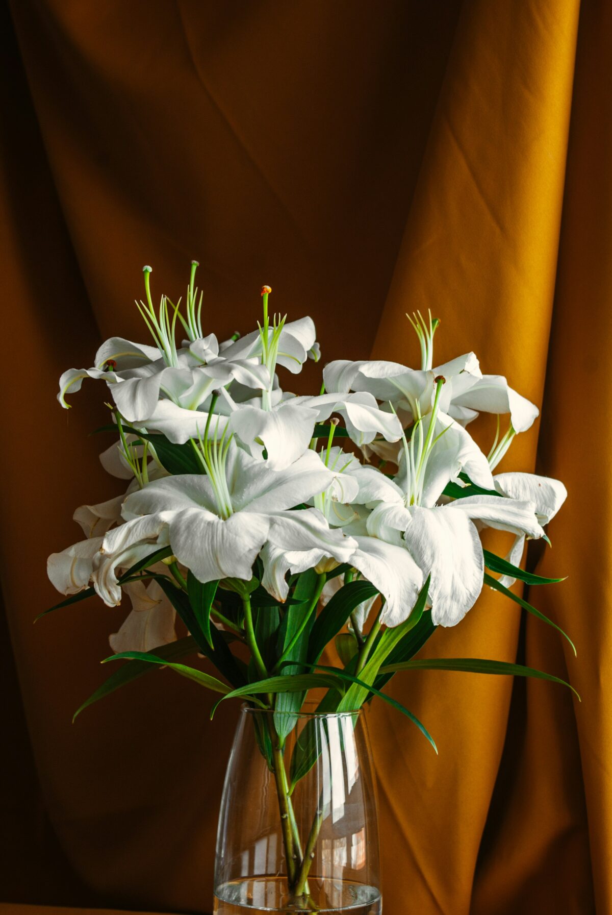 Bouquet de lys blancs