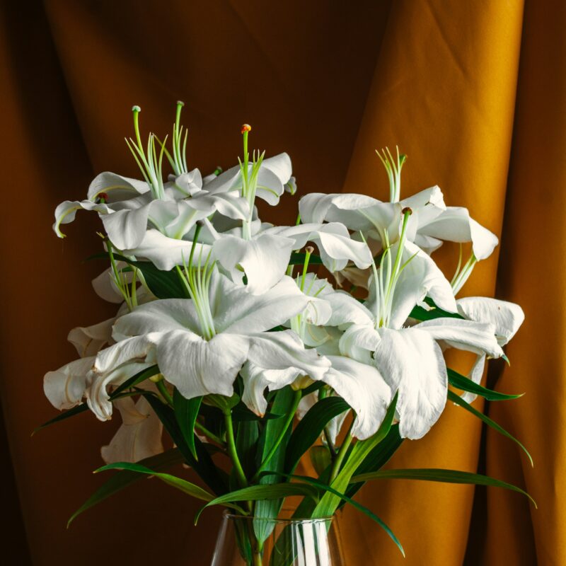 Bouquet de lys blancs