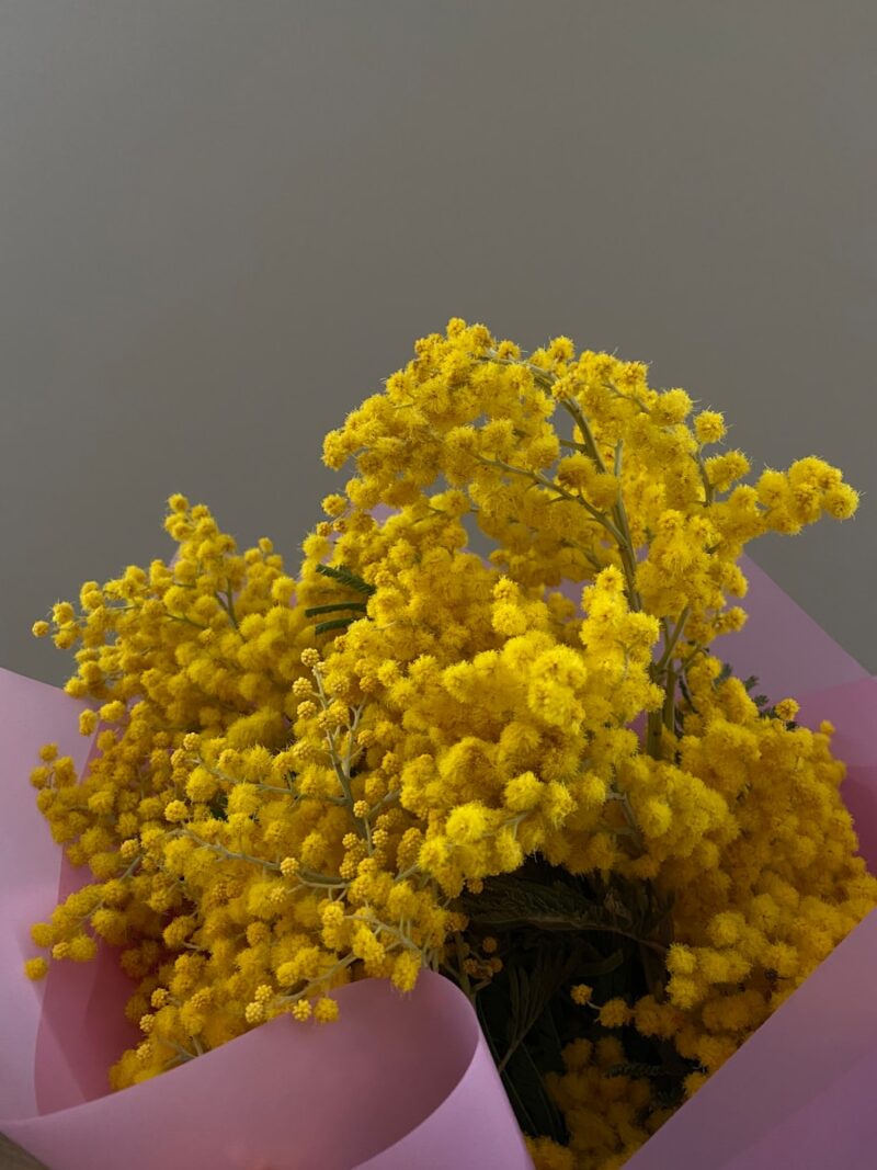 Petit bouquet de mimosa enveloppé dans un papier rose délicat, symbole de sécurité et de constance dans le langage des fleurs.