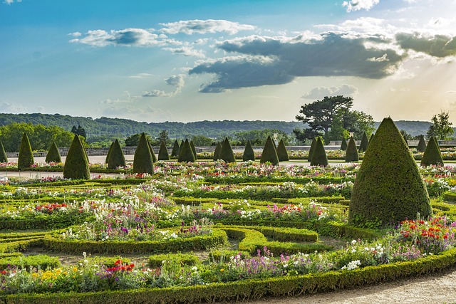 versailles, park, castle, outside, garden, sky, tourism, old, france, grass, wood, landscape, summer, green, scenic, branches, versailles