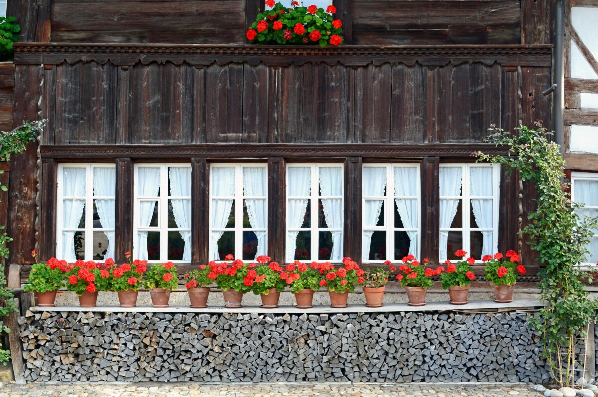 Traditional Swiss chalet with red geraniums, floral heritage and cultural traditions