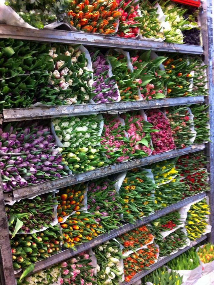 **Identical bouquets arranged horizontally on industrial shelving inside a cold storage warehouse.**
